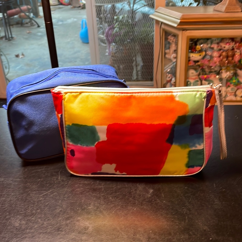 Watercolor Clinique Makeup Bag Plus Bonus Toiletry Bag